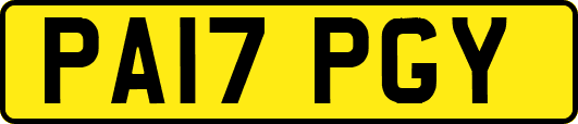 PA17PGY