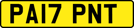 PA17PNT