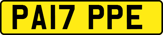 PA17PPE