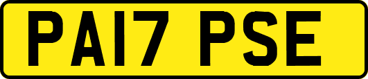 PA17PSE
