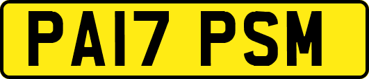 PA17PSM