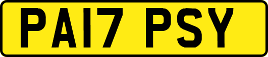 PA17PSY