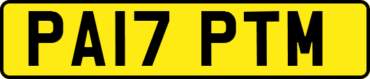 PA17PTM