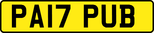 PA17PUB