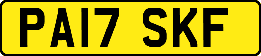 PA17SKF