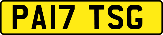PA17TSG