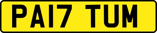 PA17TUM