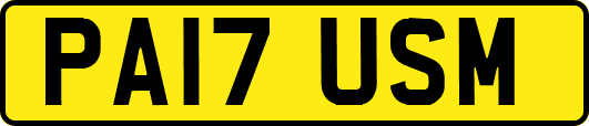 PA17USM