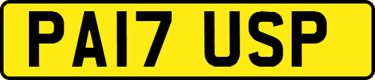 PA17USP