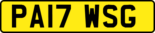 PA17WSG