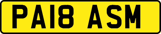 PA18ASM