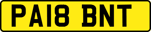 PA18BNT