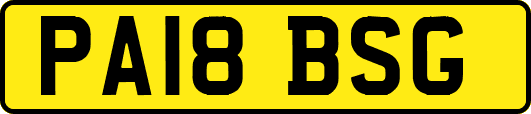 PA18BSG