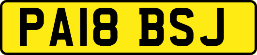 PA18BSJ