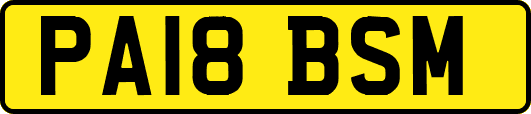 PA18BSM