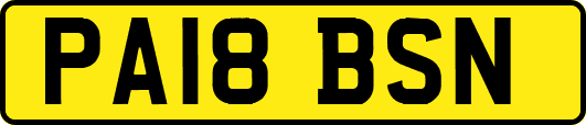 PA18BSN