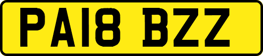PA18BZZ