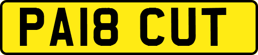 PA18CUT