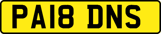 PA18DNS