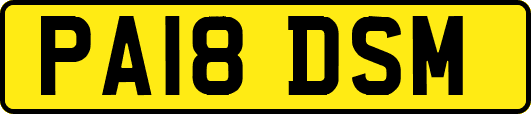 PA18DSM