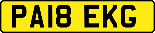 PA18EKG