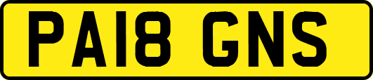 PA18GNS