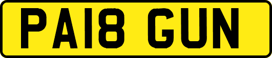 PA18GUN