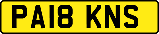 PA18KNS