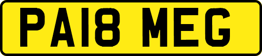 PA18MEG