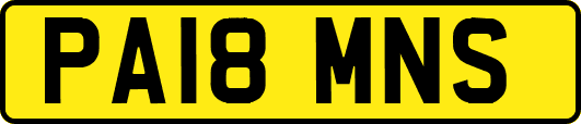 PA18MNS