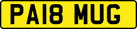 PA18MUG