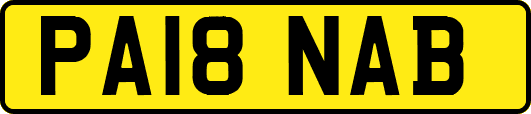 PA18NAB