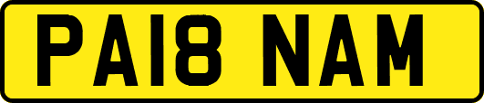 PA18NAM