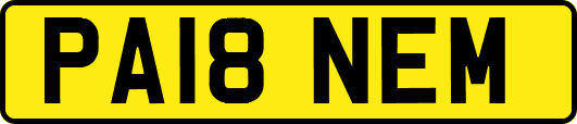PA18NEM