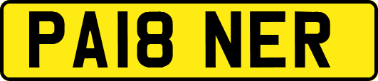 PA18NER