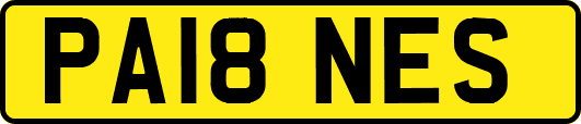 PA18NES