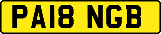 PA18NGB