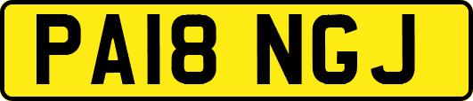 PA18NGJ