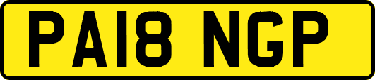 PA18NGP