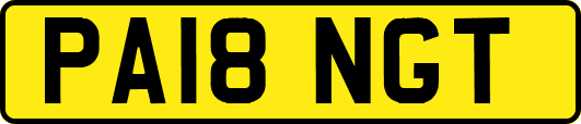 PA18NGT
