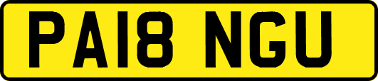 PA18NGU