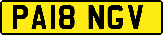 PA18NGV