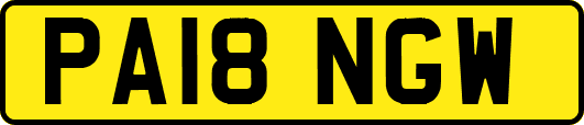 PA18NGW