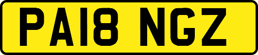 PA18NGZ