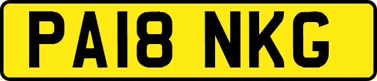 PA18NKG