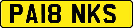 PA18NKS