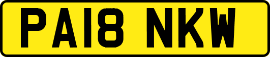 PA18NKW