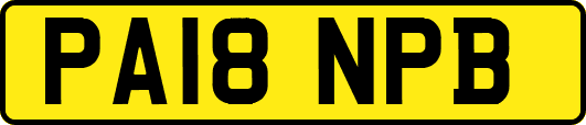PA18NPB