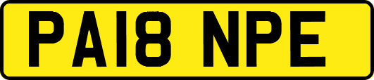 PA18NPE