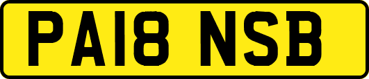 PA18NSB